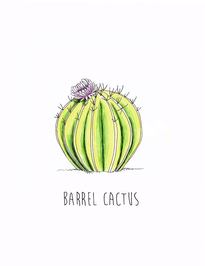 Barrel Cactus Drawing - Barrel Cactus by Shanon Rifenbery
