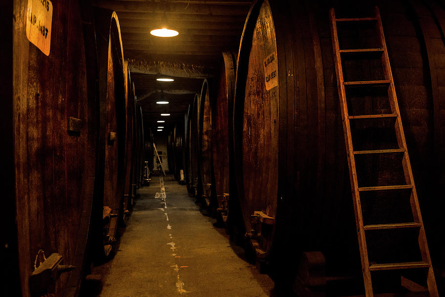 Wine Photograph - Barrel Climb by Jon Glaser