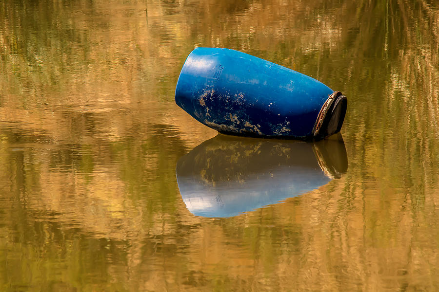 Barrel on Golden Pond Photograph by Tam Ryan