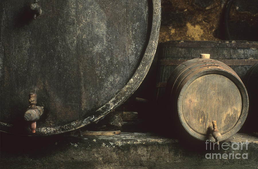 Barrels of wine in a wine cellar. France Photograph by Bernard Jaubert