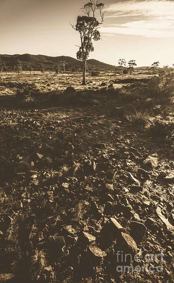 Barren and hostile australian summer landscape Photograph by Jorgo Photography
