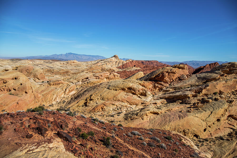 Barren Desert Photograph by Ed Clark