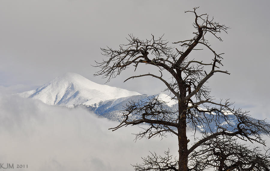 Barren Tree and Breaking Clouds Photograph by Kevin Munro