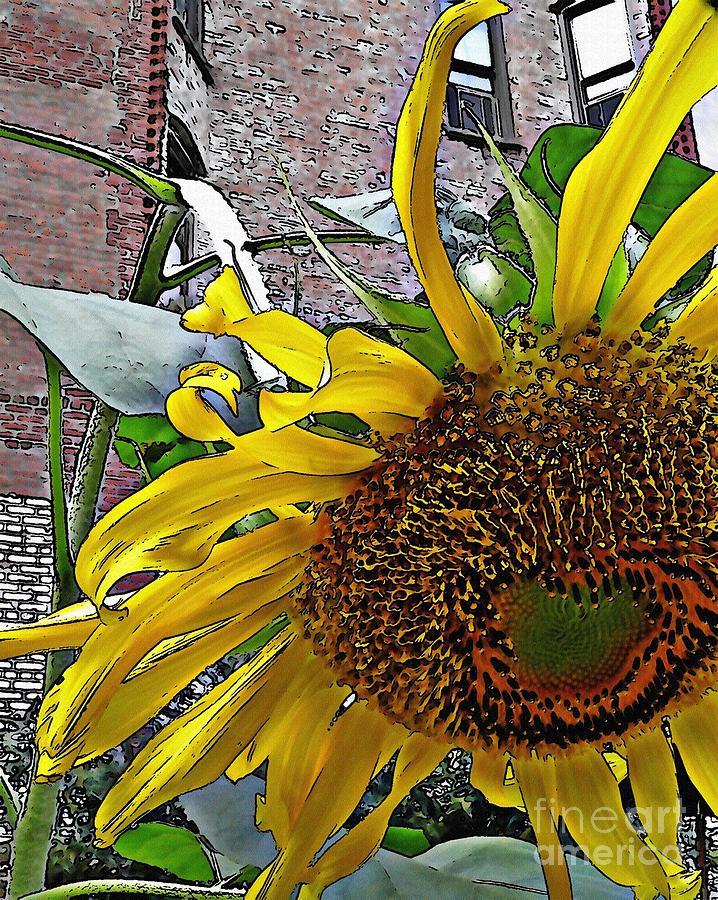 Barrio Sunflower 3 Photograph by Sarah Loft