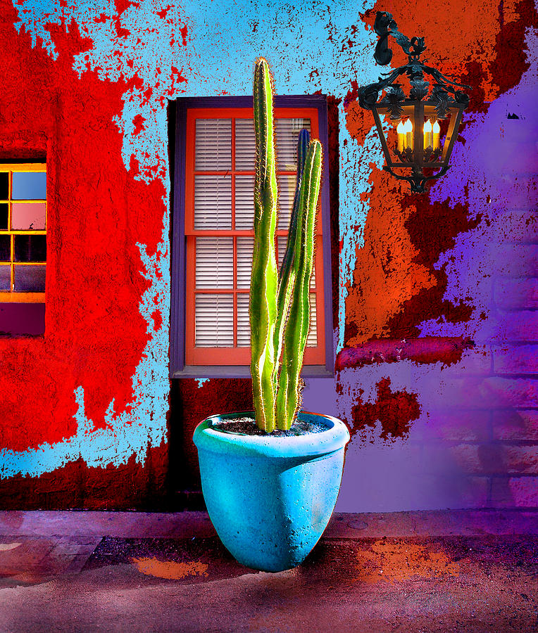 Barrio Tucson Photograph by Ciro Verdi Fine Art America