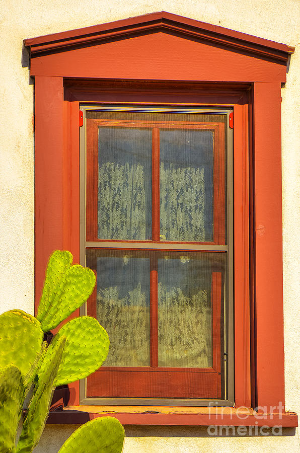 Tucson Photograph - Barrio Window by Larry White
