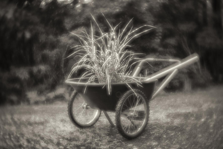 Barrow-sepia Photograph by Joye Ardyn Durham