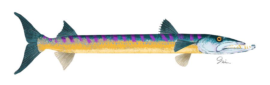 Fish Digital Art - BarryCuda Ver.2 by Trevor Irvin