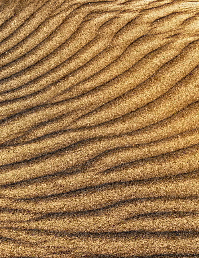 Barstow Vertical Sand Dune Detail Photograph by Gary Warnimont
