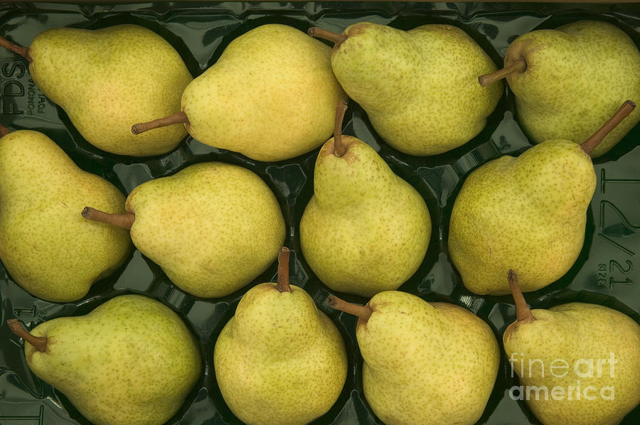 Bartlett Pears In A Packing Tray Photograph by Inga Spence