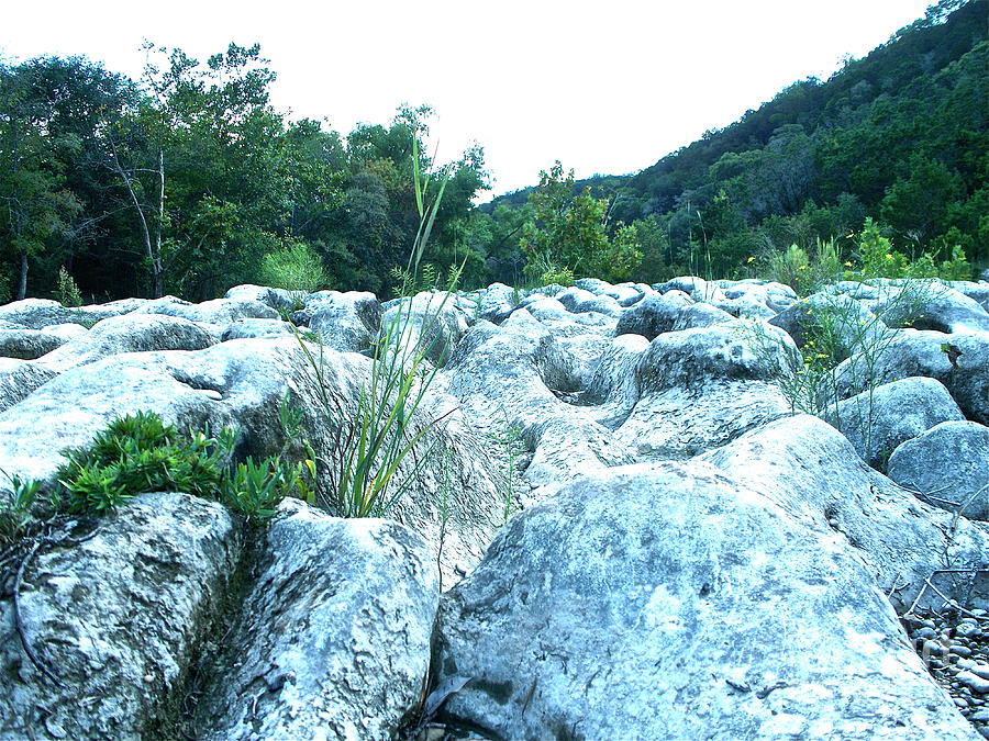 Barton Creek Dried Up Photograph by Chuck Taylor - Pixels