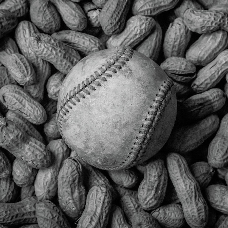 Baseball and Peanuts Black and White Square  Photograph by Terry DeLuco