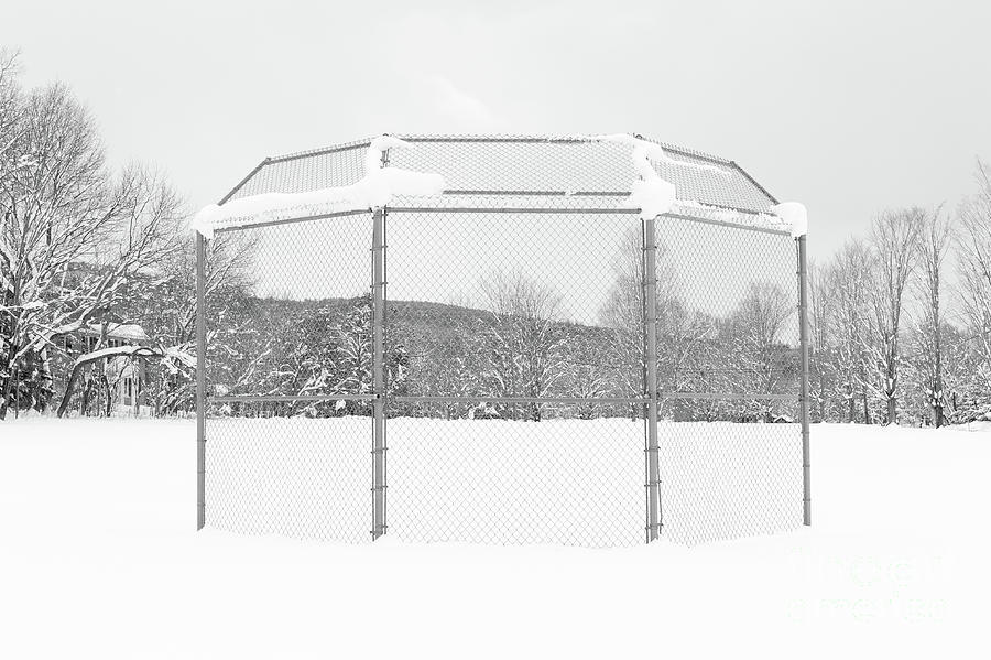 Baseball Backstop in the Snow Photograph by Edward Fielding