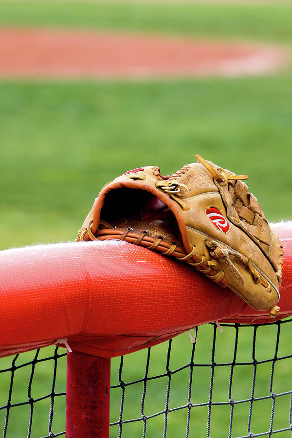 Baseball Glove on Infield Fence Photograph by SR Green