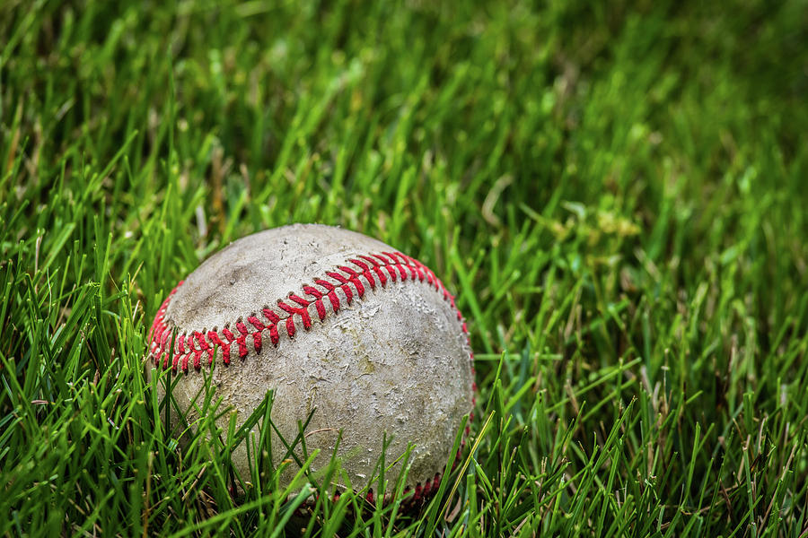 Baseball in Grass Photograph by Mike Burgquist - Pixels