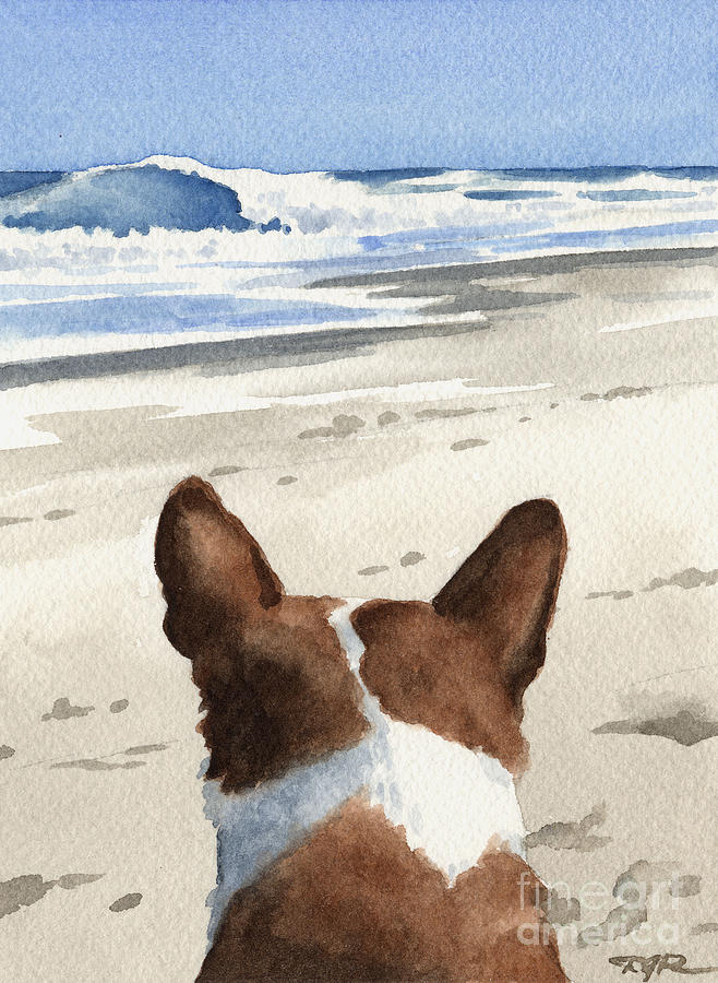 Dog Painting - Basenji At The Beach by David Rogers