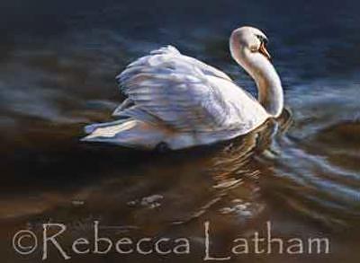 Swan Painting - Bashful - Mute Swan by Rebecca Latham Swan Painting - Bashful - Mute Swan by Rebecca Latham
