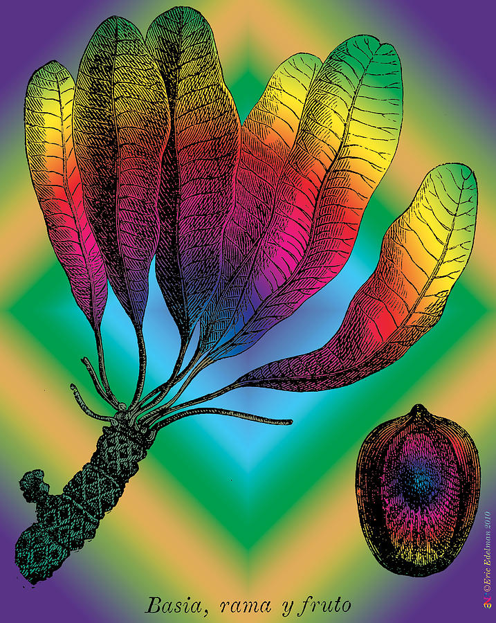 Basia Plant Digital Art by Eric Edelman