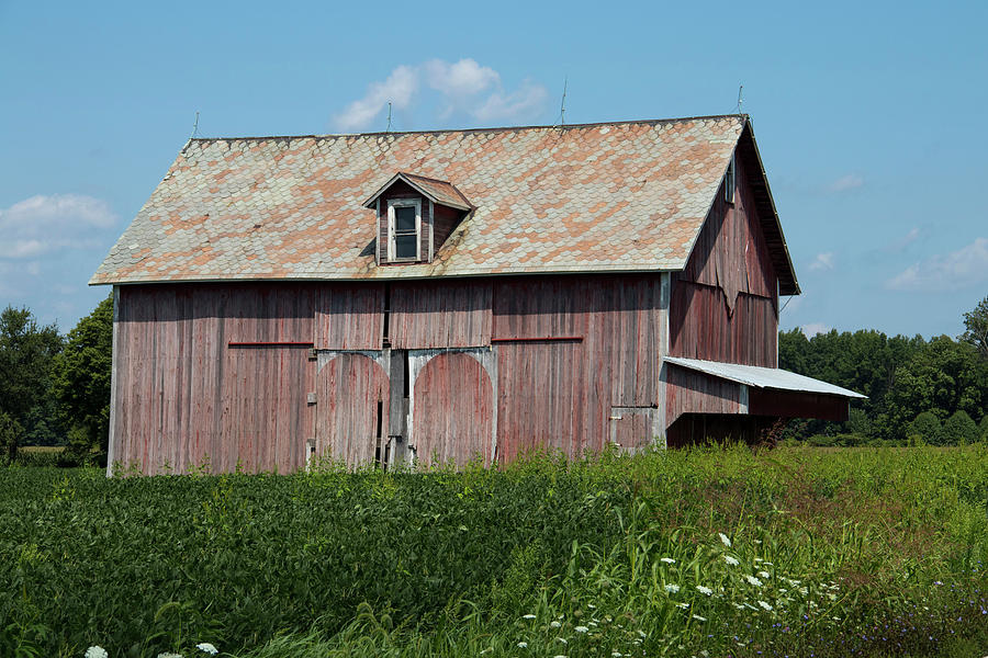 Basil Western Road Barn Photograph by Jeff Roney - Fine Art America