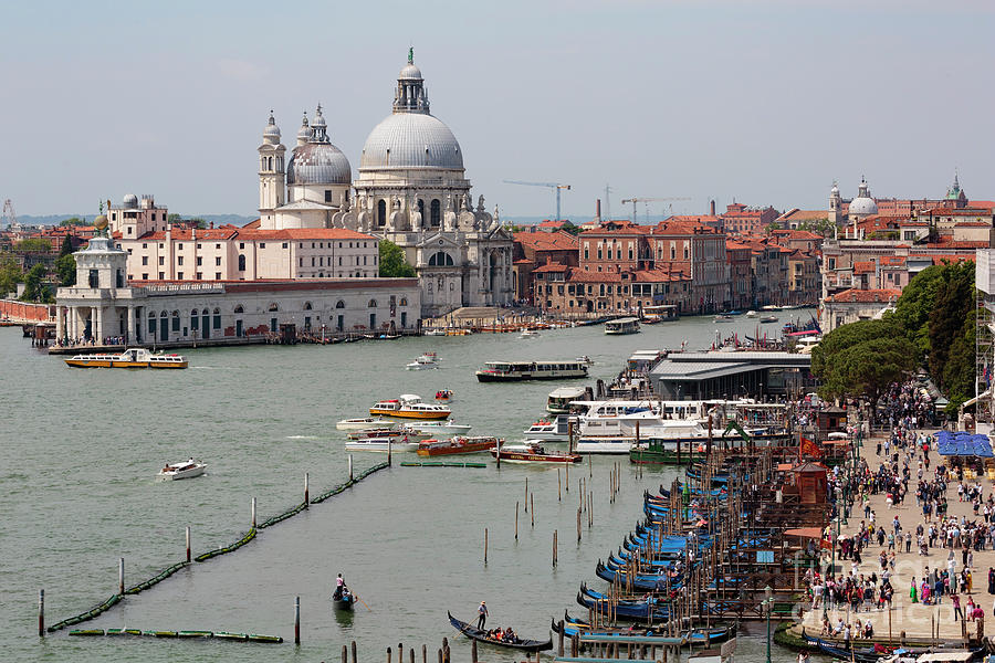 Basilica della Salute and the Grand Canal Venice Photograph by Louise Heusinkveld