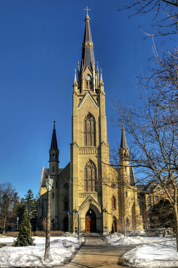 Basilica of the Sacred Heart Photograph by Jerry Gammon