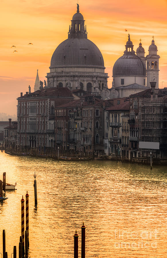 Basilica Santa Maria della Salute - Venice - Italy Photograph by Luciano Mortula