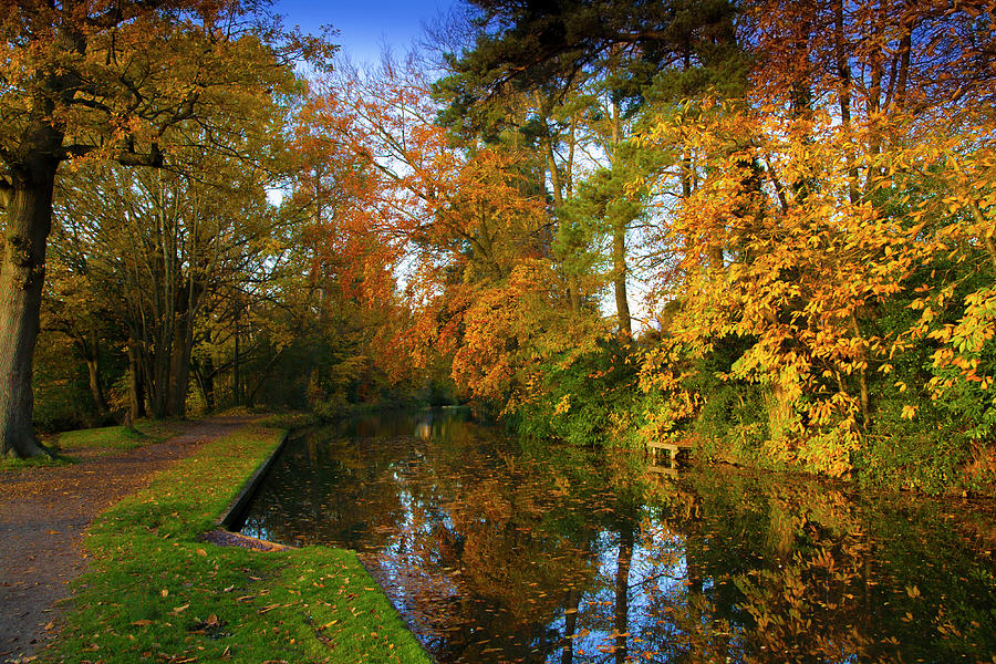 Fall Photograph - Basingstoke Canal in Autumn  by Philip Enticknap