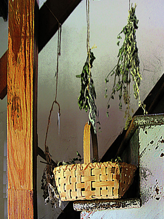 Basket and Drying Herbs Photograph by Susan Savad