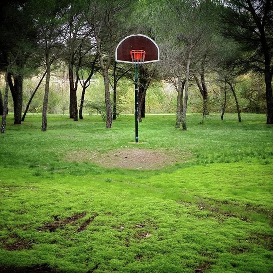 Sports Photograph - Basket Bosque
#landscape #basket by Rafa Rivas