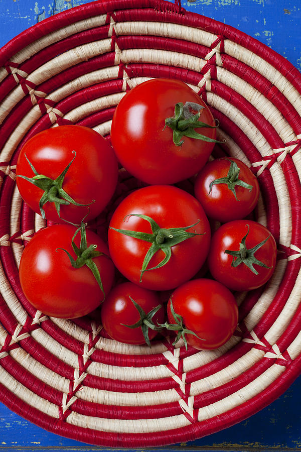 Tomato Photograph - Basket full of red tomatoes  by Garry Gay