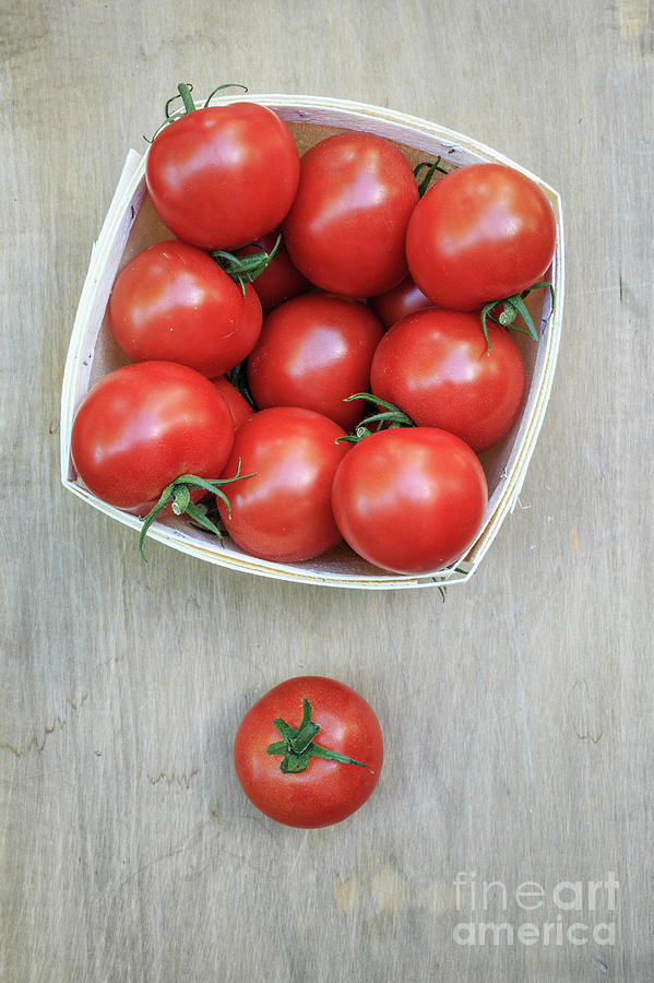 Basket of fresh red tomatoes Photograph by Edward Fielding