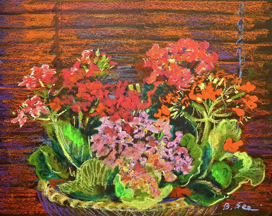 Basket of Kalanchoes Drawing by Bonnie See Fine Art America
