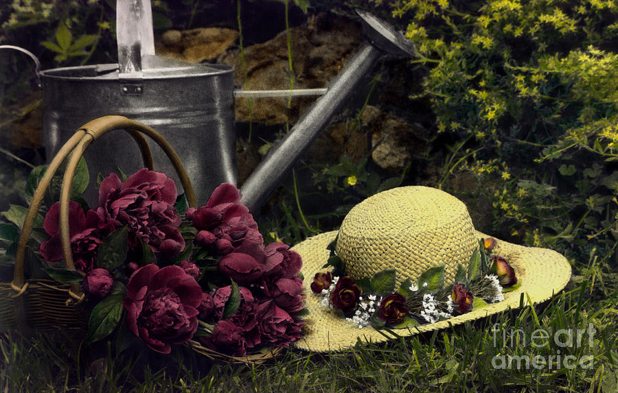Still Life Photograph - Basket Of Peonies by Rosemary Pipitone