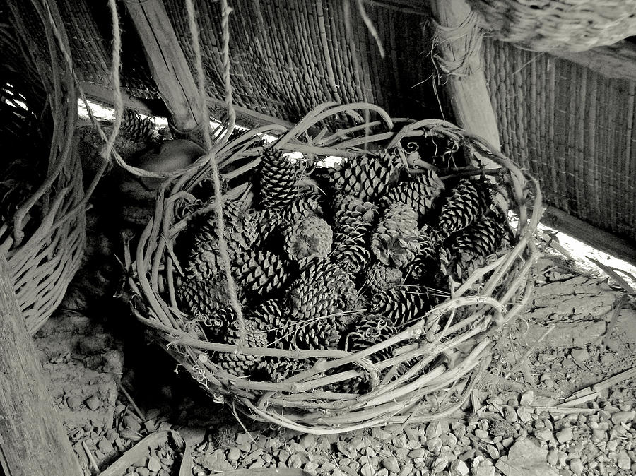 Nature Photograph - Basket of Pine Cones by Peggy Urban