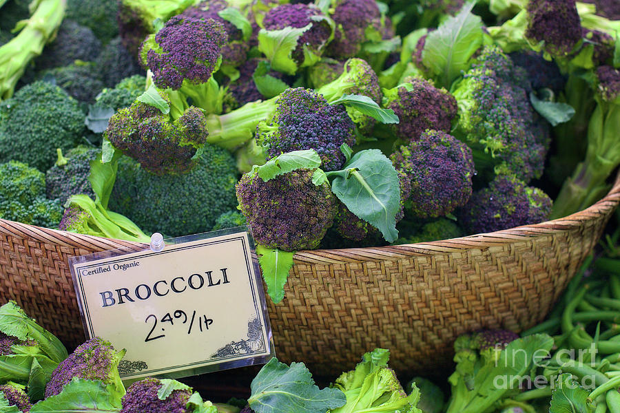 Basket of purple and green broccoli Photograph by Bruce Block