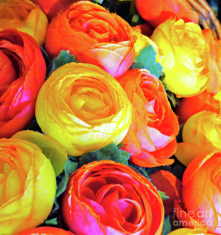 Basket Of Roses Photograph
