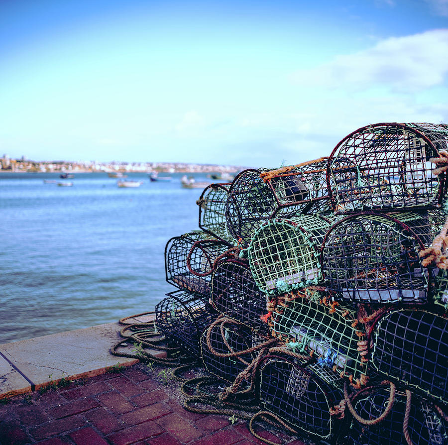 Basket Traps Photograph by Nisah Cheatham