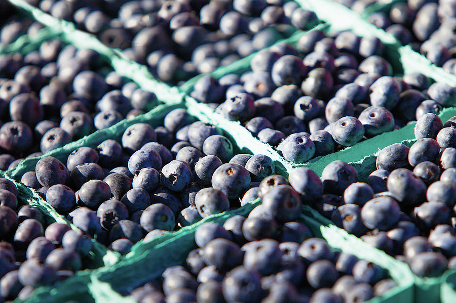 Blueberry Photograph - Baskets of Blueberries by Todd Klassy