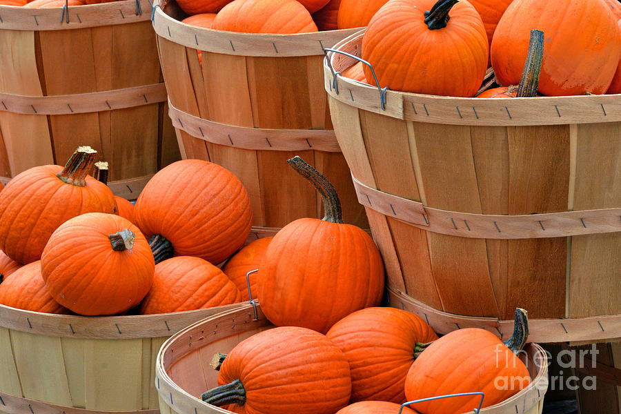 Baskets Of Pumpkins Photograph