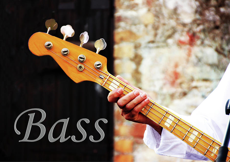 Bass Guitar  Photograph by Tom Conway