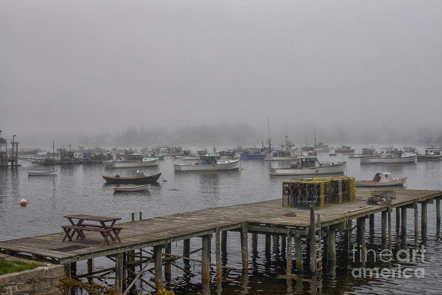 Bass Harbor, Acadia NP in fog Photograph by Patricia Hofmeester