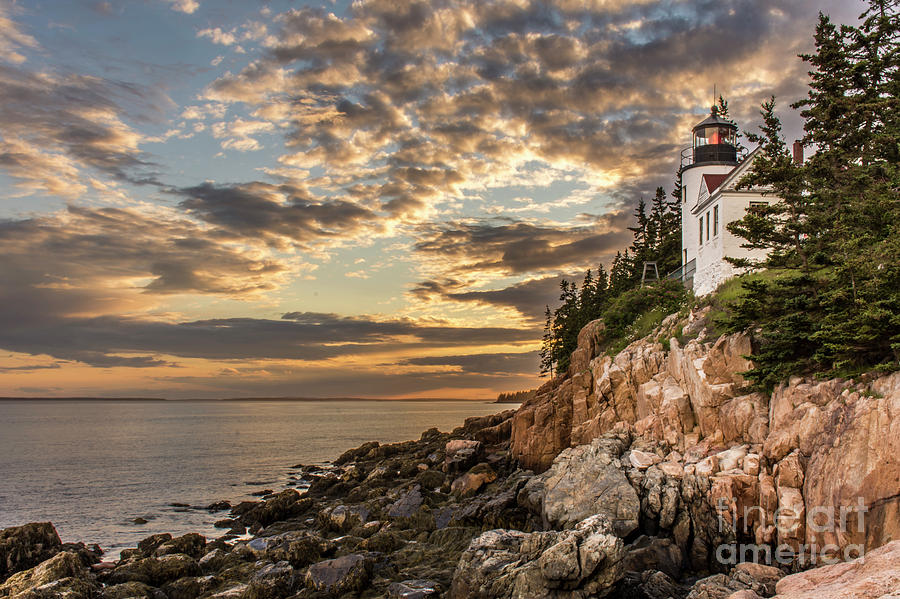 Acadia National Park Photograph - Bass Harbor Head Lighthouse Sunset by Jason Kolenda