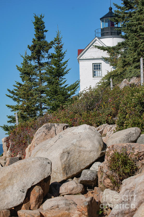 Bass Harbor Light Photograph by Faith Harron Boudreau - Pixels