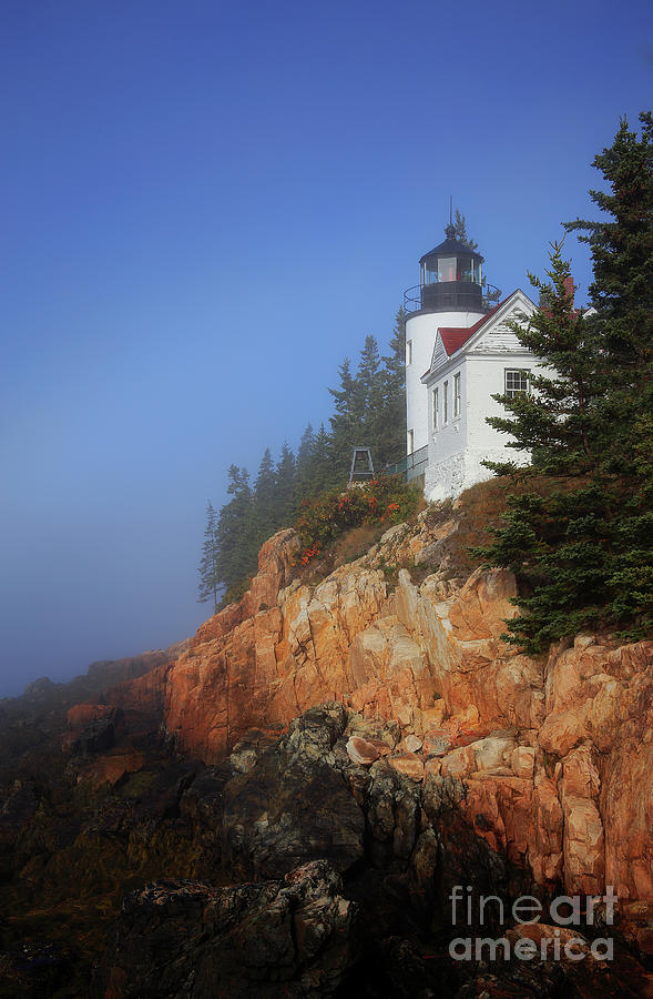 Bass Harbor Lighthouse, Acadia National Park Photograph by Kevin Shields
