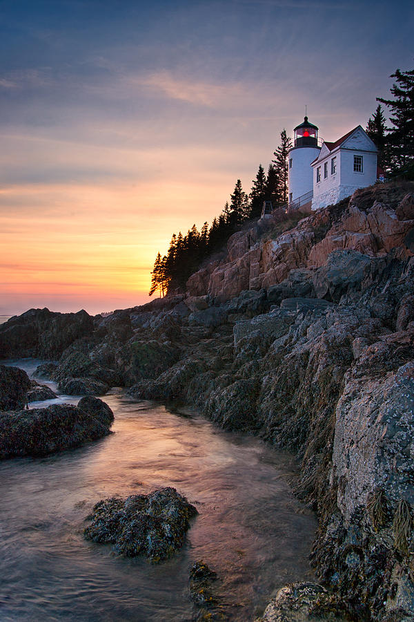 Bass Harbor Lighthouse at Sunset Photograph by Darylann Leonard Photography