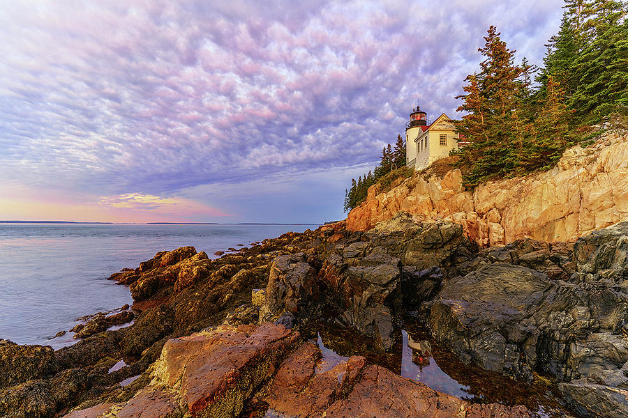 Bass Harbor Lighthouse Photograph by Robert Plotz - Fine Art America