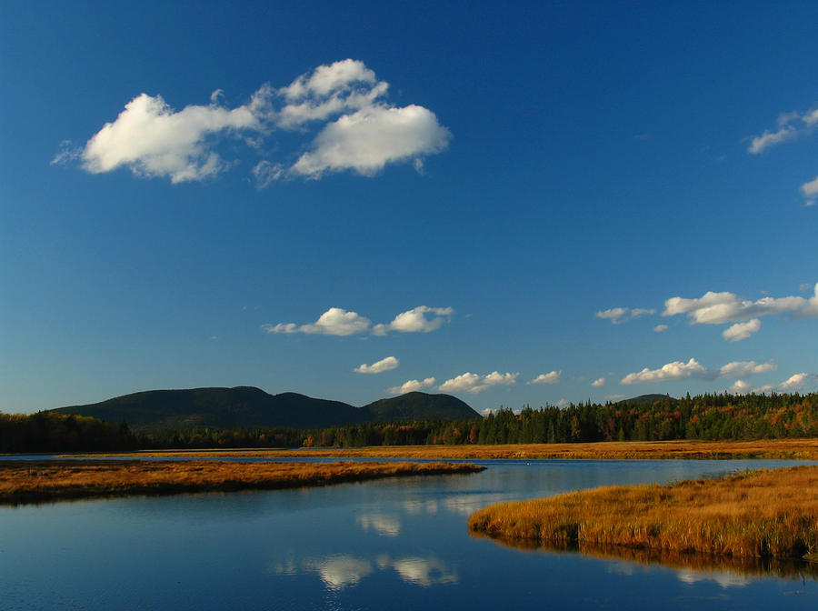 Bass Harbor Marsh Photograph by Juergen Roth