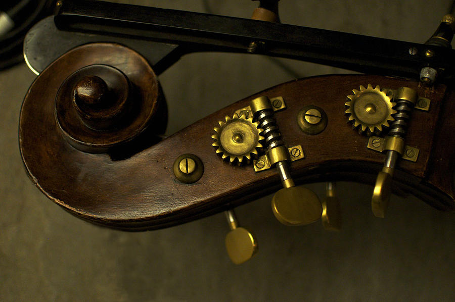 Bass Photograph - Bass by Kelly E Schultz Bass Photograph - Bass by Kelly E Schultz