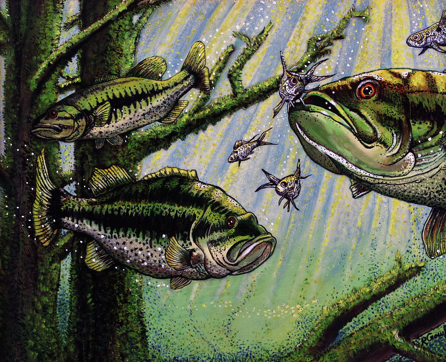 Bass on the Feed Painting by Bob Crawford