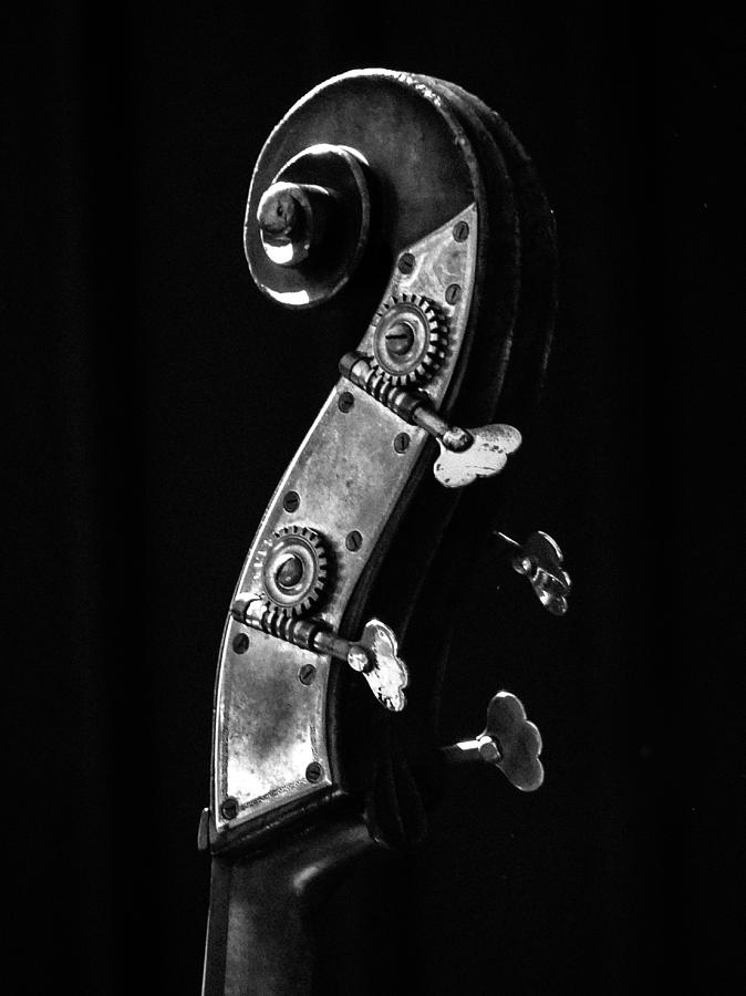 Bass Violin Photograph by Julia Wilcox